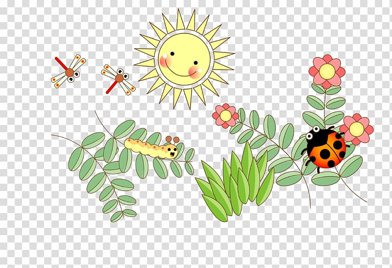 Butterfly Ladybird , Leaves on the insects transparent background PNG clipart