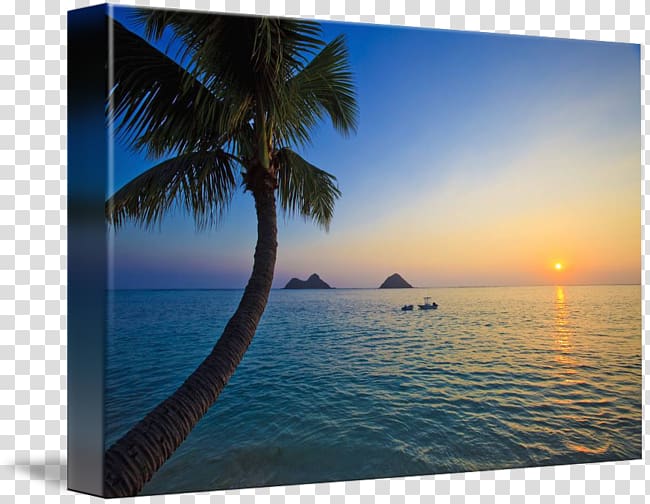 Lanikai Beach Caribbean Gallery wrap Sea Canvas, sea transparent background PNG clipart