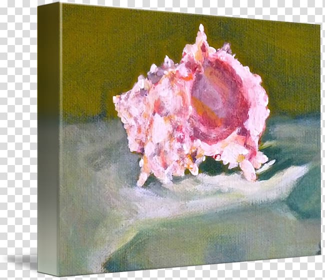 Still life Watercolor painting Conch Seashell, conch transparent background PNG clipart