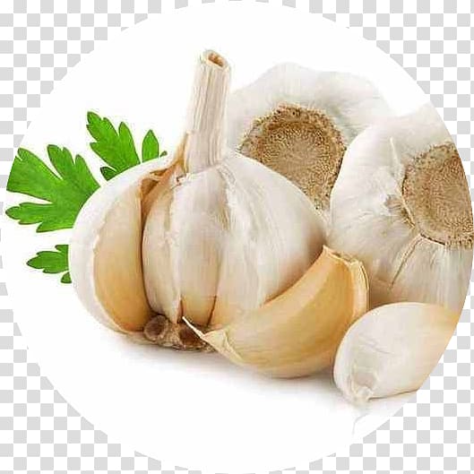 Garlic Health Allicin Food Onion, garlic transparent background PNG clipart