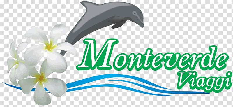 Monteverde Viaggi Srl Travel Agent Tourism Last minute, Travel transparent background PNG clipart