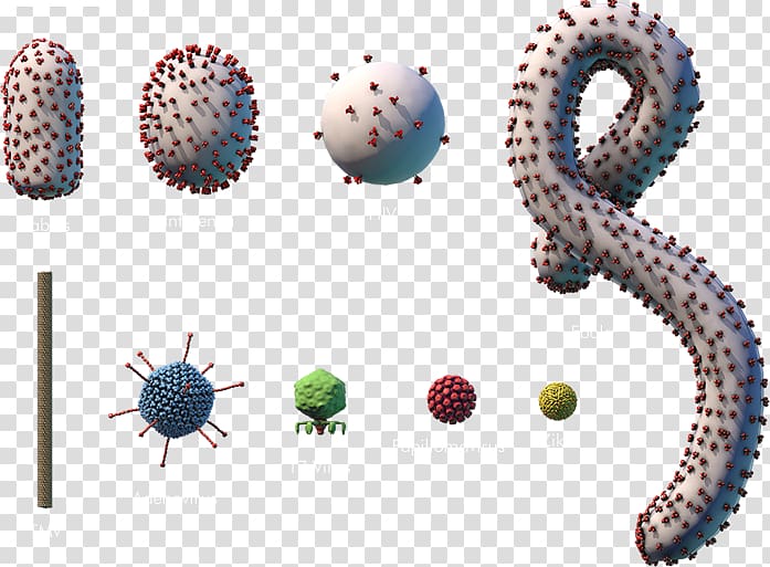 Ebola virus disease Microorganism EBOV Bacteria, a number of cancer virus cell bodies transparent background PNG clipart