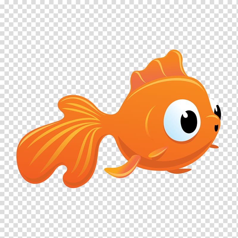 Vacation Bible School First Baptist Church , goldfish transparent background PNG clipart