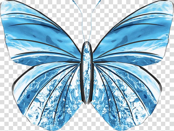 Butterfly Blue Illustration, Hand-painted blue butterfly transparent background PNG clipart