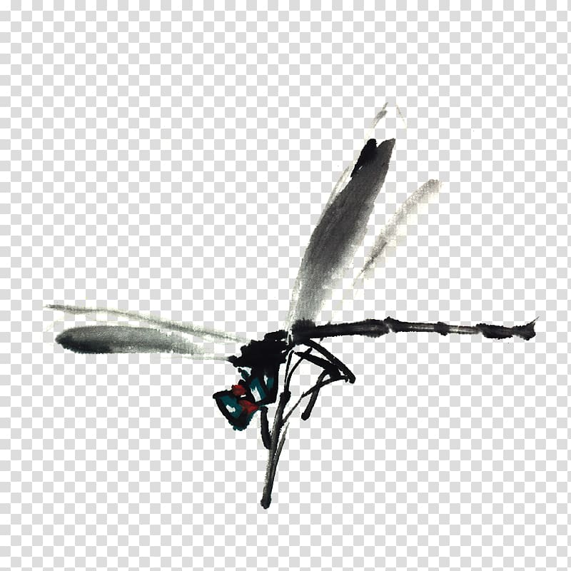 Insect Ink wash painting Watercolor painting Dragonfly, Decorative elements,insect transparent background PNG clipart