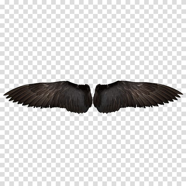 Bird Wing Feather Computer file, Black Eagles Wings transparent background PNG clipart
