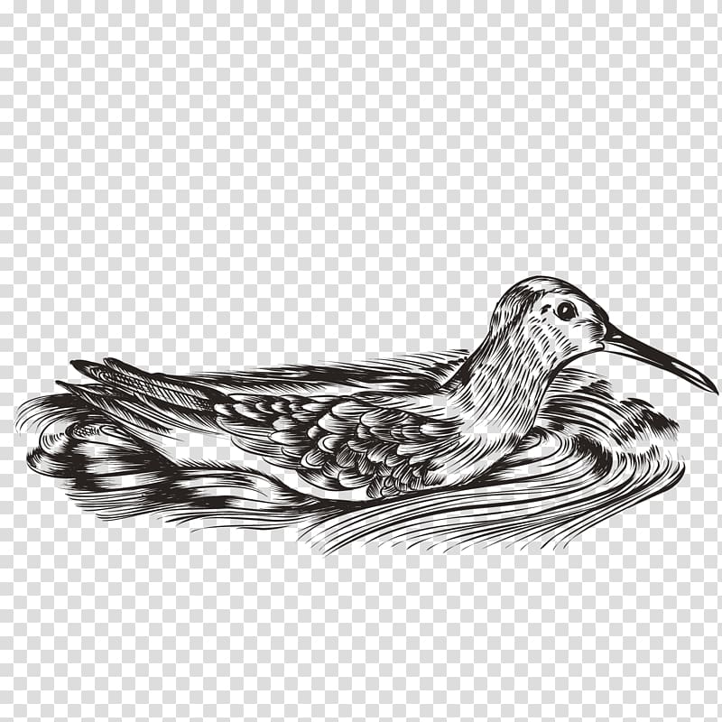 Duck Water bird Waterfowl, mandarin ducks transparent background PNG clipart