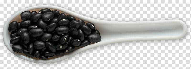 Black turtle bean Frijoles negros Bean salad Legume, Black Beans File transparent background PNG clipart