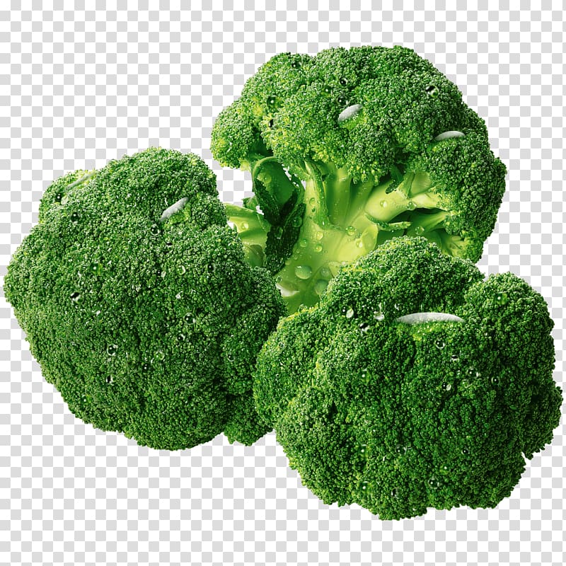 Broccoli, broccoli transparent background PNG clipart