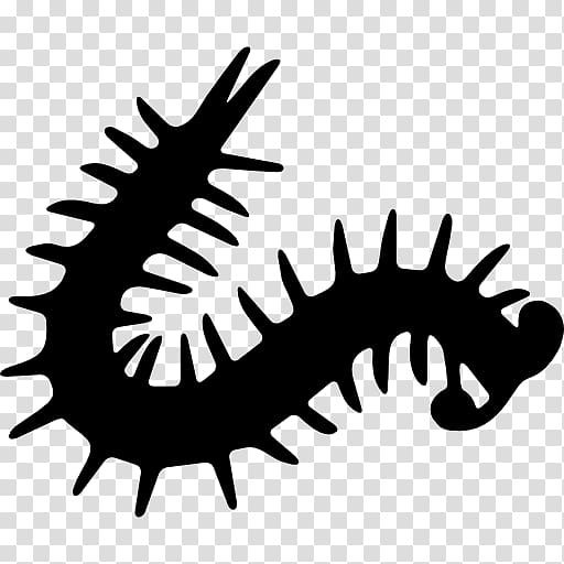 Millipedes Centipedes Computer Icons , others transparent background PNG clipart