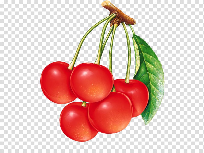 Sour Cherry Berry , Red cherry transparent background PNG clipart