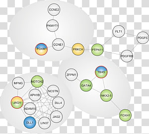 Brand Technology Diagram, technology transparent background PNG clipart thumbnail