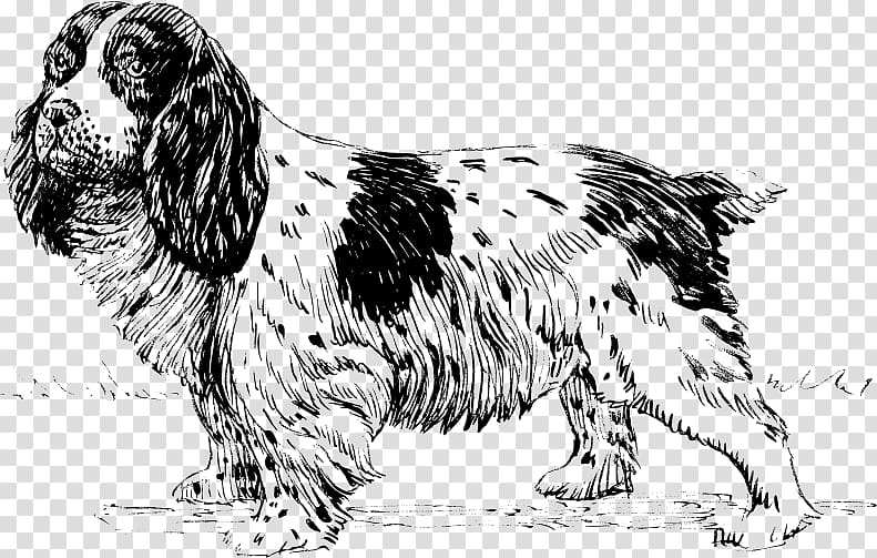 English Setter English Springer Spaniel Sussex Spaniel Russian Spaniel Dog breed, english cocker spaniel transparent background PNG clipart