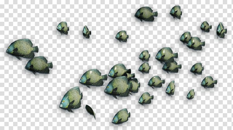 Far Cry 3 Coral reef fish Shoaling and schooling, fish transparent background PNG clipart