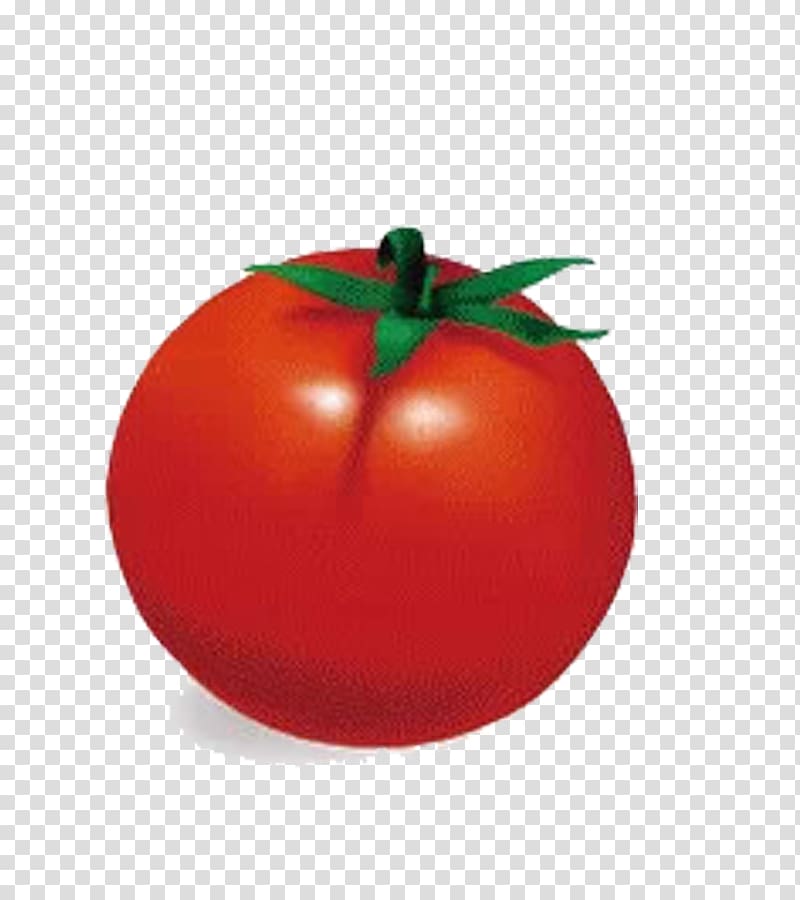 Plum tomato Sweet and sour Bush tomato Apple, tomato transparent background PNG clipart