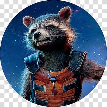 Rocket Raccoon Groot Kraglin Hulk Marvel Cinematic Universe, rocket raccoon transparent background PNG clipart