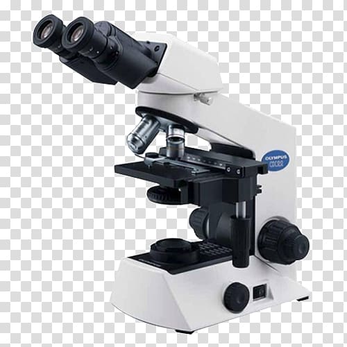 Optical microscope Binoculars Stereo microscope Polarized light microscopy, microscope transparent background PNG clipart