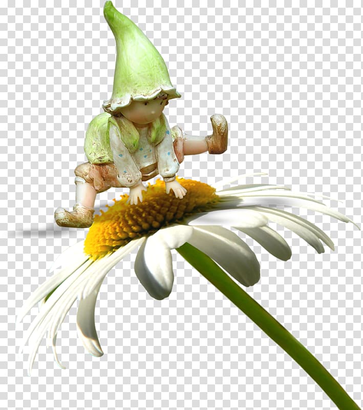 gnome on daisy illustration, Flower Fairy Cartoon, Cute Flower Fairy transparent background PNG clipart