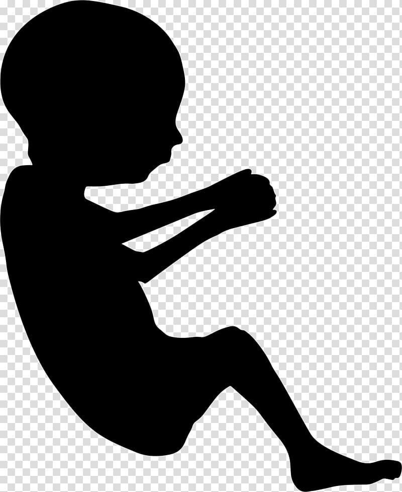 Fetus Pregnancy Infant , pregnant silhouette transparent background PNG clipart