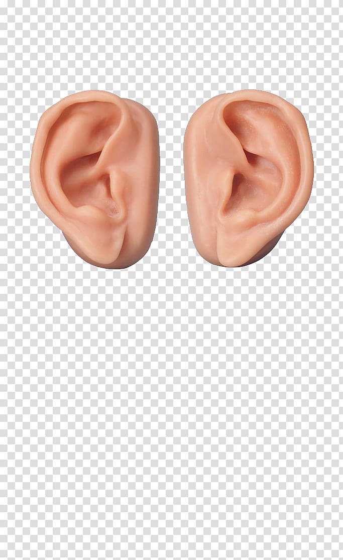 Hearing Outer ear Inner ear Middle ear, Ear transparent background PNG clipart