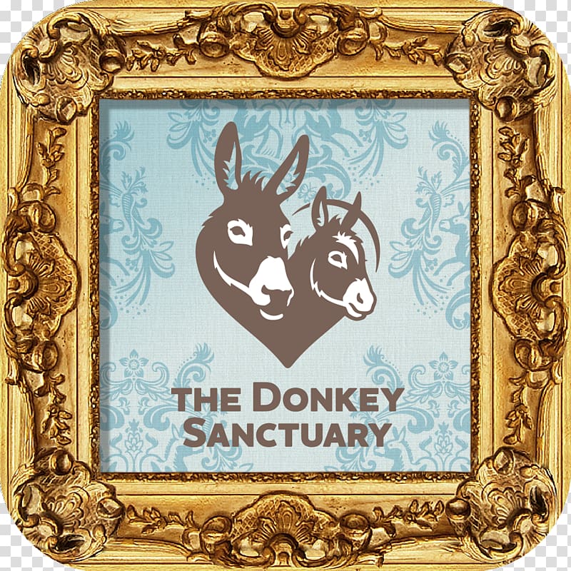 The Donkey Sanctuary Frames Animal Pattern, donkey transparent background PNG clipart