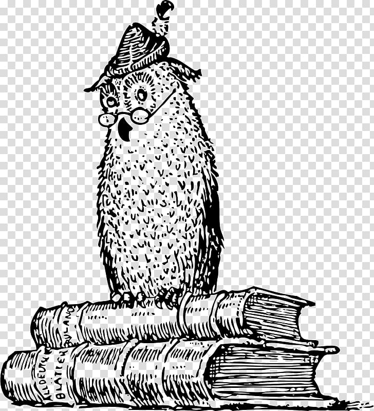 Owl Bird Drawing Professor Knatschke: Selected Works of the Great German Scholar and of His Daughter Elsa , owl transparent background PNG clipart