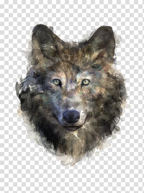 brown wolf illustration, Gray wolf T-shirt Black wolf Drawing Illustration, Black wolf transparent background PNG clipart