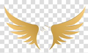 Black wings sticker, Logo Angel, wings transparent background PNG ...
