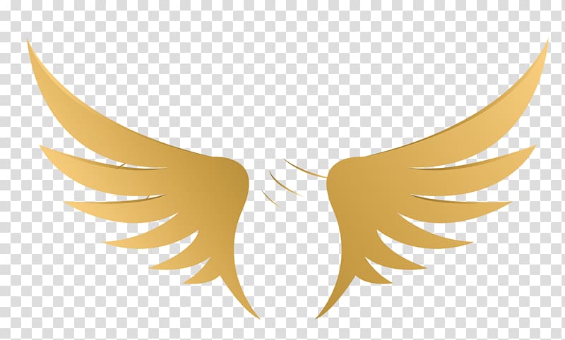 wings illustration, Yellow Illustration, Wings transparent background PNG clipart