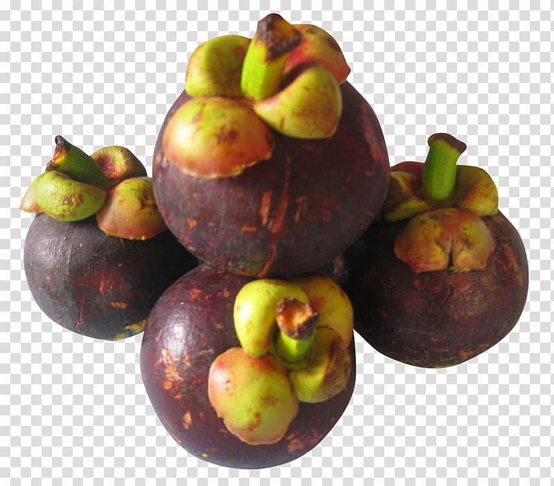 four purple mangosteen fruits, Purple mangosteen , Purple Mangosteen transparent background PNG clipart