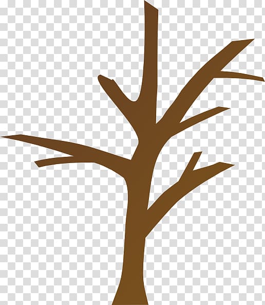 Trunk Tree Branch , Bare transparent background PNG clipart