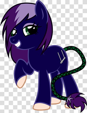 Cat Pony Horse , Cat transparent background PNG clipart thumbnail