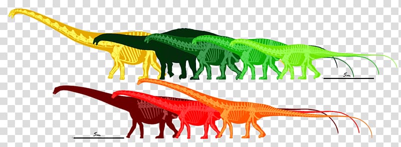 Seismosaurus Barosaurus Apatosaurus Supersaurus Mamenchisaurus, barosaurus transparent background PNG clipart