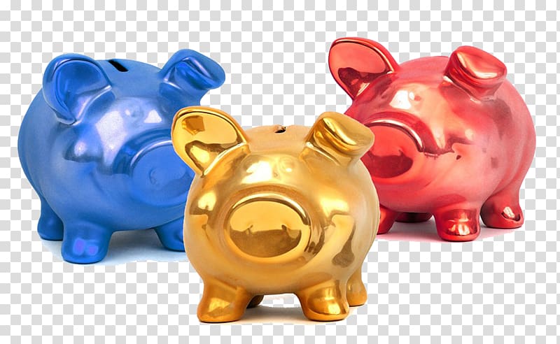 Piggy bank Saving Money Domestic pig, Color piggy piggy bank transparent background PNG clipart
