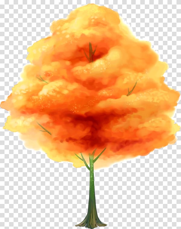 , design transparent background PNG clipart