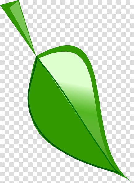 Leaf Drawing , Leaf transparent background PNG clipart