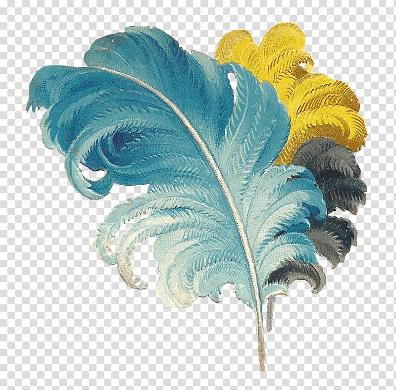 three black, teal, and yellow feather decor, Victorian Feather Drawing Blue Yellow Black transparent background PNG clipart