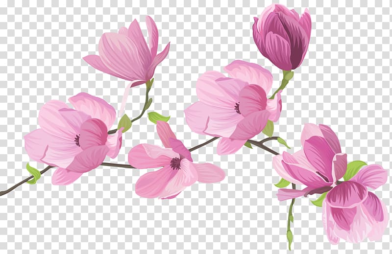 purple flowers , Flower , Spring Tree Flowers transparent background PNG clipart