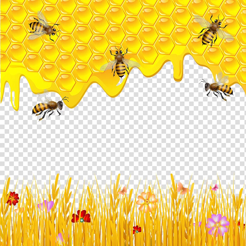 several honey bees and yellow honeycomb illustration, Western honey bee Honeycomb Drawing, Honey and bee transparent background PNG clipart