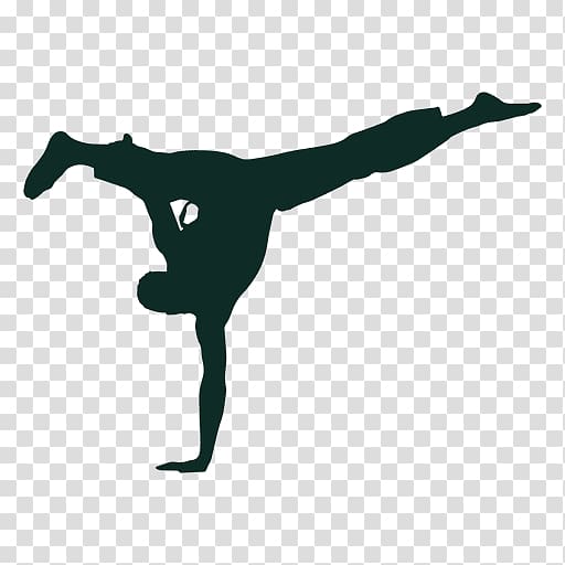 Grupo Capoeira Brasil Brazil Martial arts Judo, brazilian transparent background PNG clipart