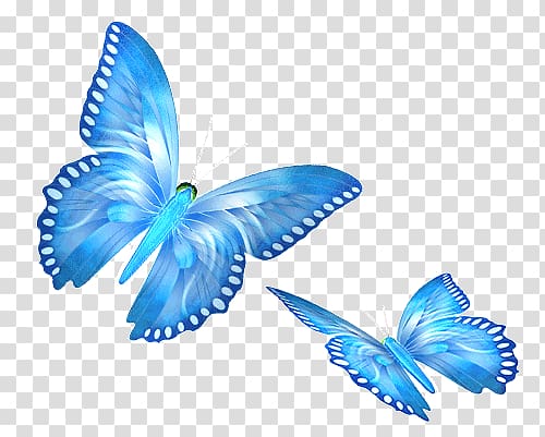Animaatio Butterflies and moths Digital , others transparent background PNG clipart