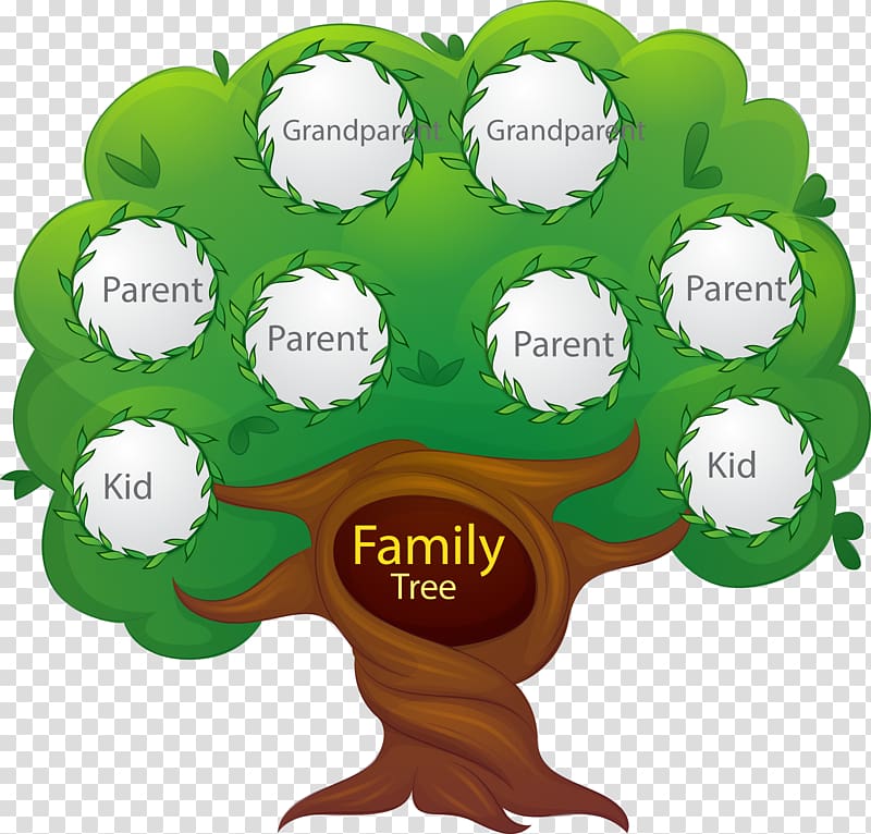 green and white tree frame, Family tree Euclidean Generation, hand painted family tree transparent background PNG clipart