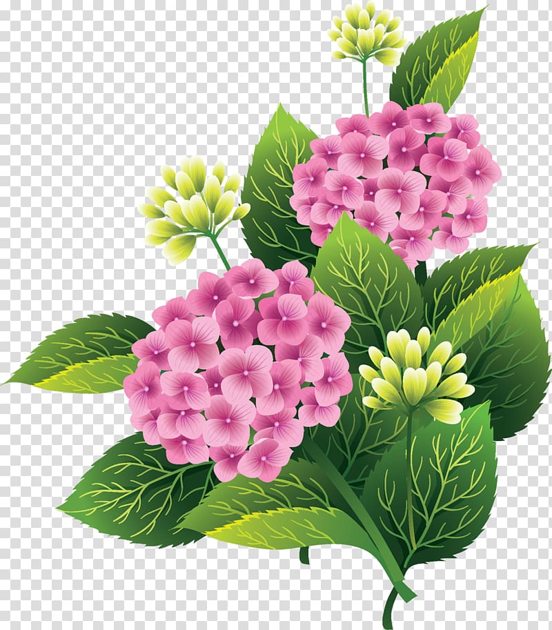 Pink flowers Silhouette , Flowers transparent background PNG clipart