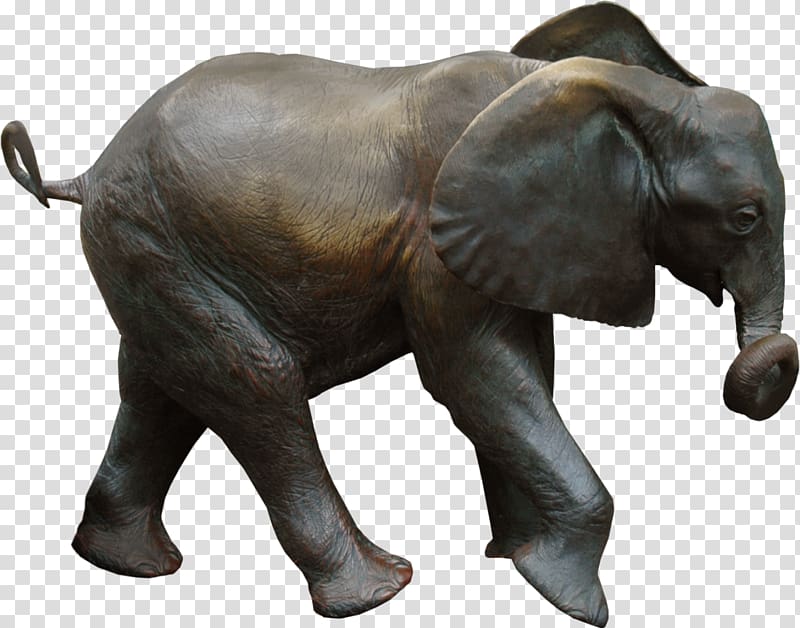 African elephant , elefant transparent background PNG clipart