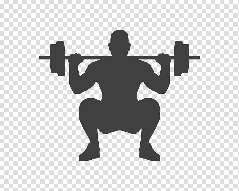 Exercise Fitness Centre Physical fitness Weight training General fitness training, barbell transparent background PNG clipart