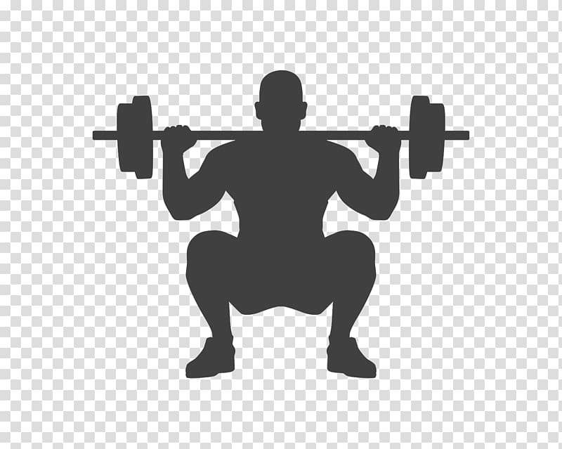 Exercise Fitness Centre Physical fitness Weight training General fitness  training, barbell transparent background PNG clipart