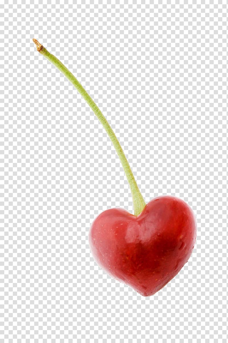Sweet Cherry Fruit Illustration, A cherry transparent background PNG clipart