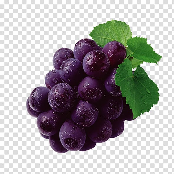 Grape seed extract Grape leaves Grapevines Proanthocyanidin, grape transparent background PNG clipart