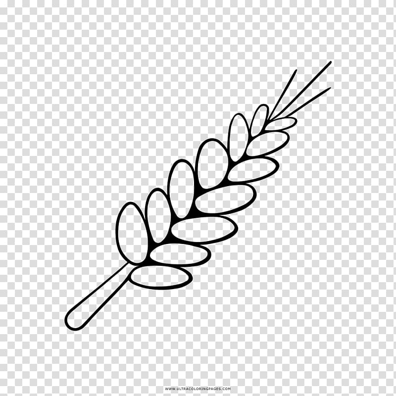 Drawing Coloring book Wheat Ear, wheat transparent background PNG clipart