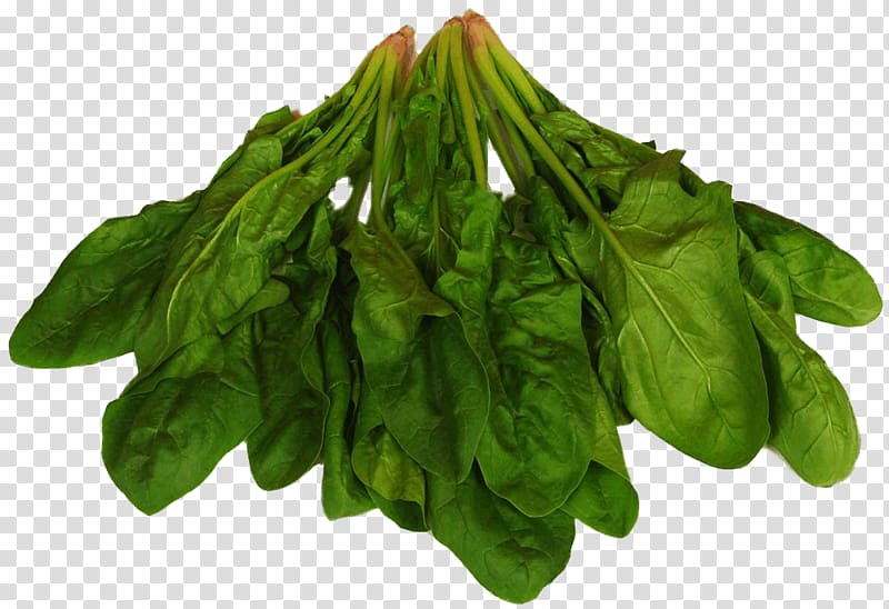 Spinach Food Chard Leaf vegetable Eating, others transparent background PNG clipart